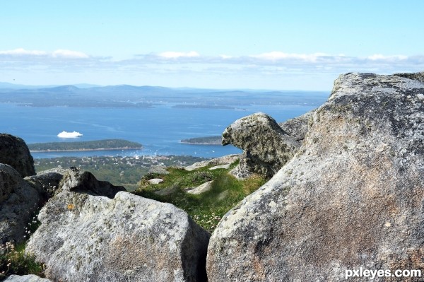 Creation of Bar Harbor: Final Result